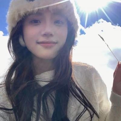 菜鸟老警第二季